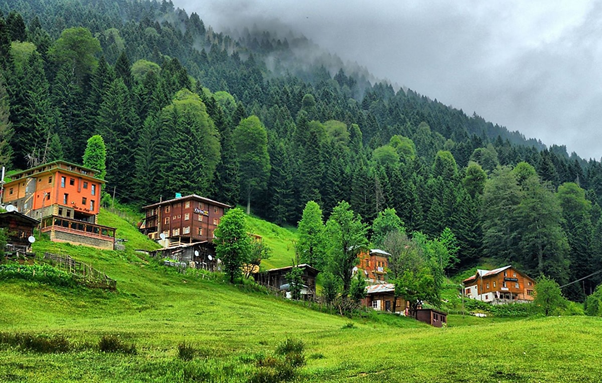 Doğu Karadeniz Turları