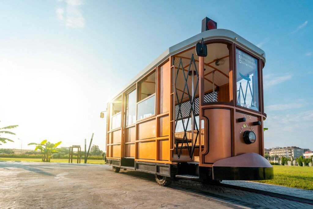 Calyptus Kirman Premium mobil görsel 39